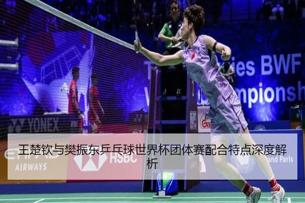 王楚钦与樊振东乒乓球世界杯团体赛配合特点深度解析